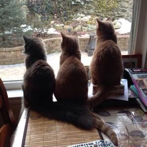 Meet your Posher, Sofia